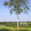 Landschaft